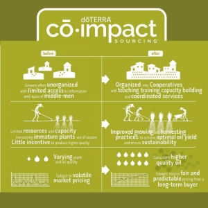 doTerra Co-impact sourcing