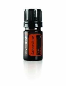 Arborvitae Essential Oil - the Tree of Life