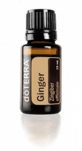 Ginger Essential Oil 15ml