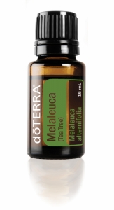 Melaleuca Essential Oil - Tea Tree Aborigines